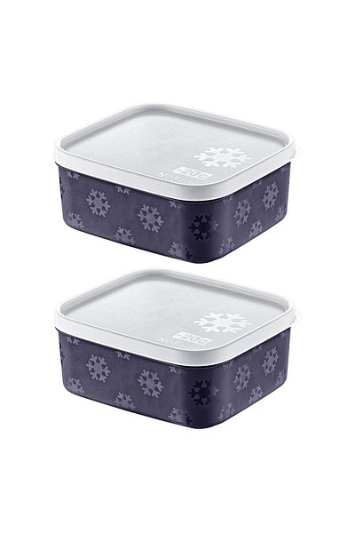 Smartware Navy Blue 700 ml Set of 2 - No Frost Storage Container