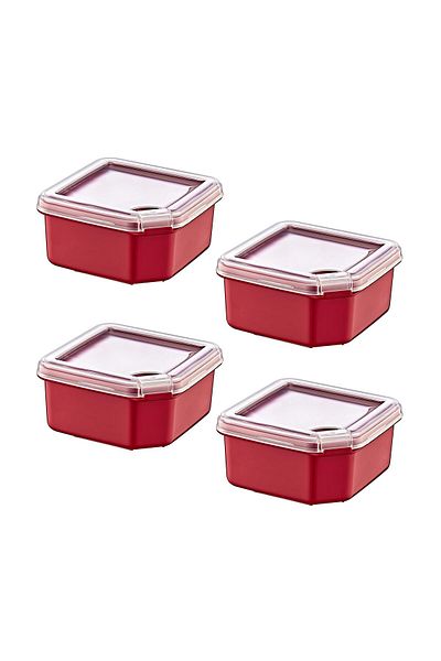 Smartware Carmen 350 ml - 4-Piece Q-Box Storage Container