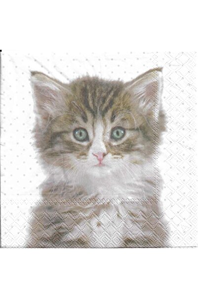 Stewo منديل بتصميم قطة مقاس 33x34 سم - 3 طبقات