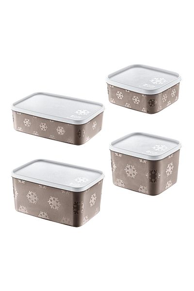 Smartware Set of 4 - No Frost Terra Storage Container (All Sizes)