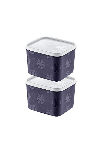 Smartware Navy Blue 1250 ml - Set of 2 No Frost Storage Containers