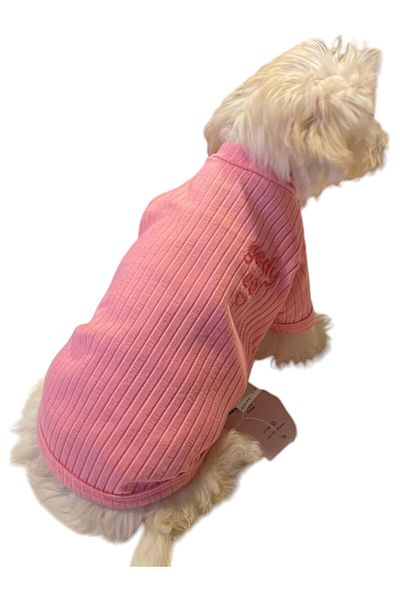 GedyCo Pink Basic Small Breed Dog T-Shirt