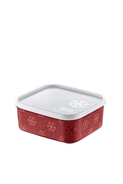 Smartware No Frost Storage Container 700 ml