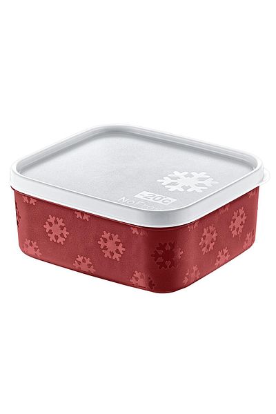 Smartware No Frost Storage Container 700 ml
