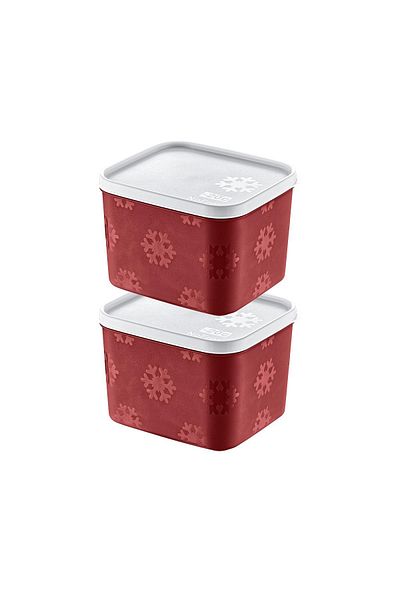 Smartware Carmen 1250 ml - Set of 2 No Frost Storage Containers