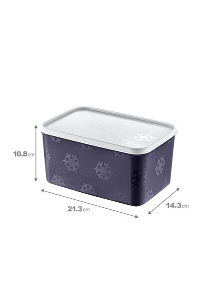 Smartware No Frost Storage Container 2600 ml