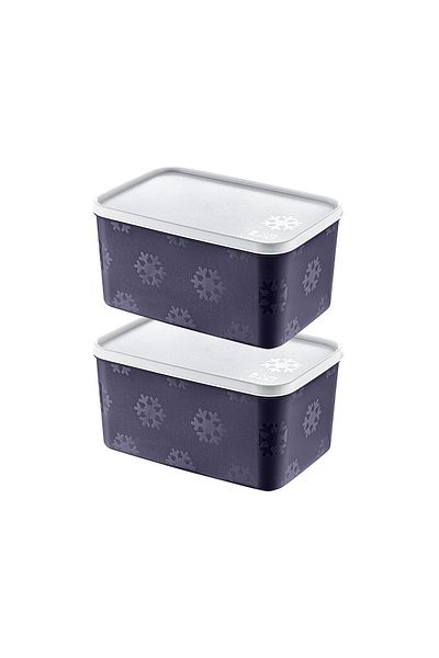 Smartware Navy Blue 2600 ml - Set of 2 No Frost Storage Containers