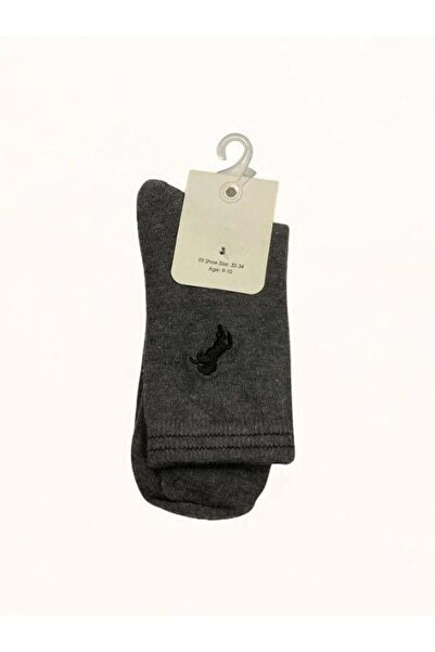 Zekids Boy's Horse Embroidered Socks