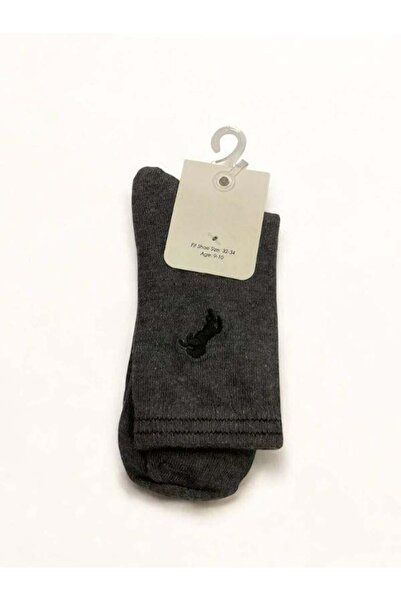 Zekids Boy's Horse Embroidered Socks