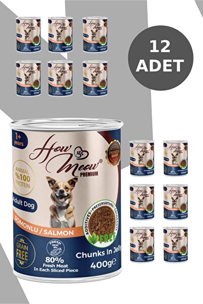 how&meow 12 Adet Jöleli Parça Etli Yetişkin Köpek Yaş Maması Somonlu 400 gram 400 gr