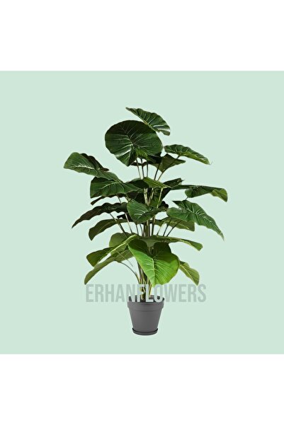 ERHAN FLOWERS ÇİÇEK & DEKORASYON Yapay alacosia Adora 18 dal 60 cm