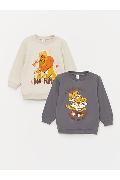 LC Waikiki Lcw Crew Neck Long Sleeve Printed Baby Boy Sweatshirt Pack of 2