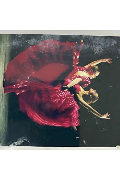 EleganTShoP 5D Yapışan Boncuk Goblen 30 x 40 cm Mozaik Tablo Pano 60337