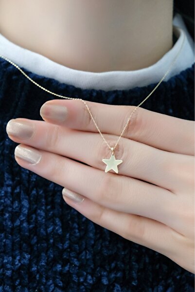 aytekgold Plaka Yıldız Kolye 14 Ayar