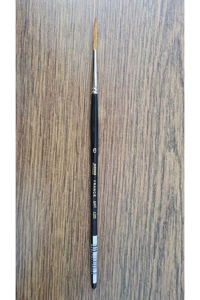 Pebeo 420 Series Long Bristle Sable Brush No:6
