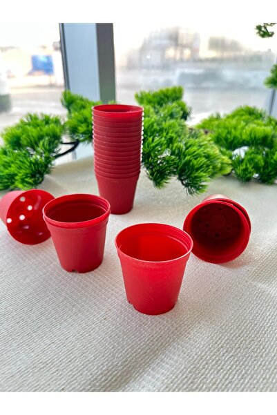 Ekodoğa Üretim Saksı 10 Adet 5,5x5 Cm Kaktüs Sukulent Üretim Saksısı Renkli P...