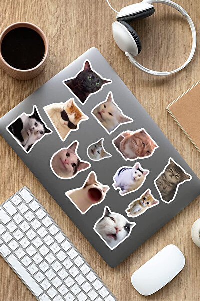 AR Sticker 3 Piece Cats Themed Laptop Notebook Tablet Sticker Set