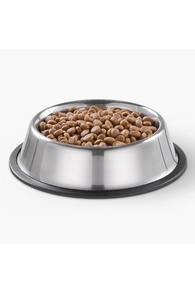 Home Box Canine Stainless Steel Pet Bowl - 2.5 L