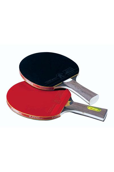 Giant Dragon Topenergy P40 Ittf Table Tennis Racket
