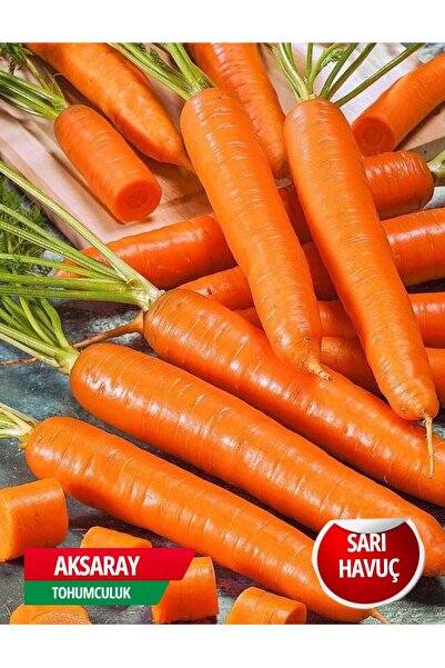 AKSARAY TOHUMCULUK Sarı Havuç Tohumu 150 Adet Tohum Aksaray Tohumculuk