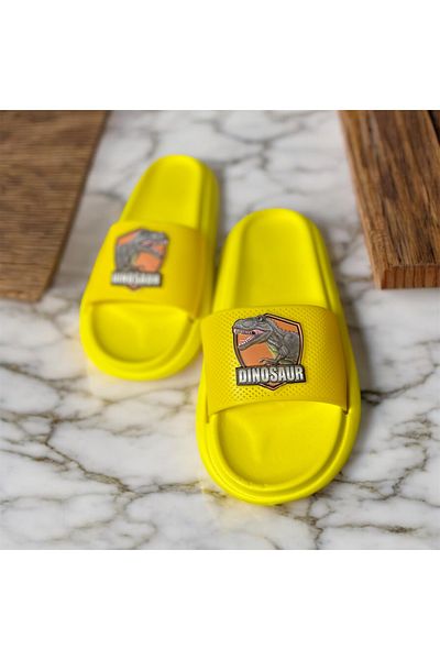 Lion Beach Pool Sea Daily Use Boy's Slippers