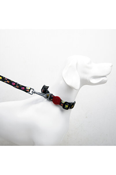 Tailpetz Space H-Tipi Göğüs Boyun Tasması ve Sevk Kayışı Seti 3ü1 Arada