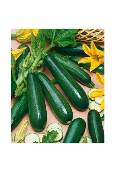 Karahasanoğlu Tarım Yerli Ata Tohumu Siyah Sakız Kabak 5 Adet