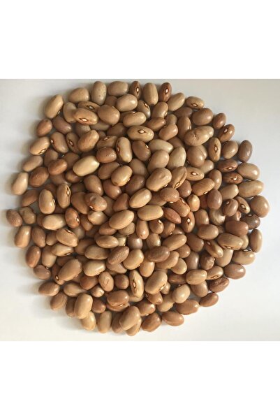 Karahasanoğlu Tarım Yerli Ata Tohumu Sırık Ayşe Kadın Erken Fasulye 25 Gr (Kr...