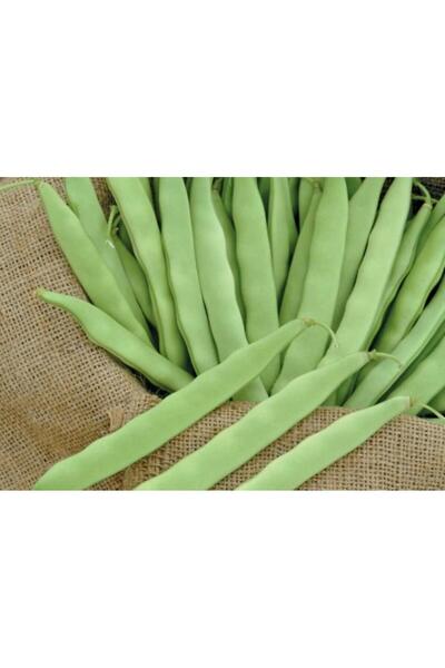 Karahasanoğlu Tarım KARDELEN OTURAK ŞEKER FASULYESİ (İLAÇLI) 50 GR (ORT 125 A...