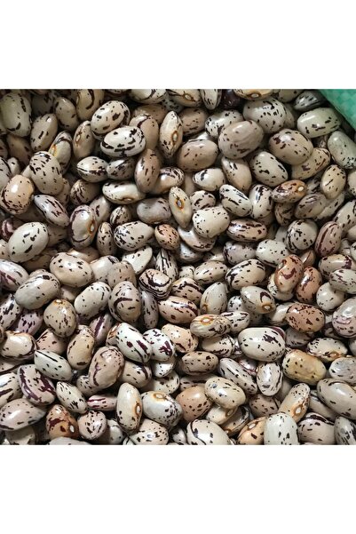 Karahasanoğlu Tarım Yerli Ata Tohumu Sırık Barbunya 25 Gr (Yuvarlak İri Tane)