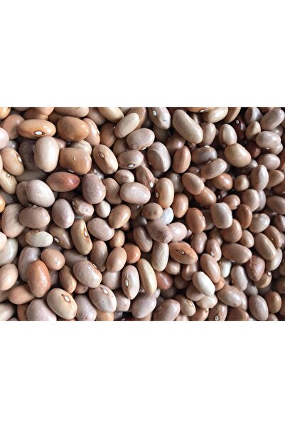 Karahasanoğlu Tarım Yerli Ata Tohumu Sarı Şeker Sırık Fasulye 25 Gr