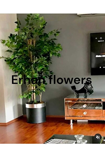 ERHAN FLOWERS Yapay Agaç 180 Cm Islak Doku Benjamin Siyah Saksı Gümüş Kemer