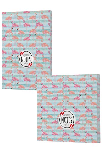 Dokuz Yayınları Vivago Art Flamingo 1 - Set caiete cu și fără linii 14X20/15X15 (320 de coli)