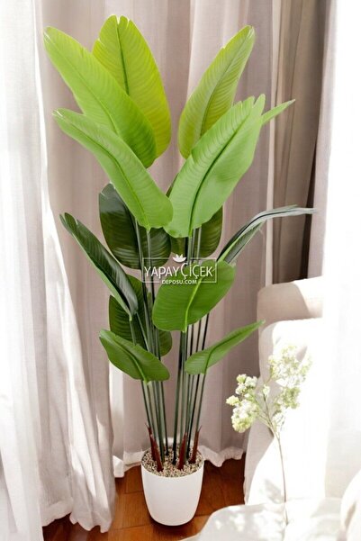 Yapay Çiçek Deposu Yapay Ağaç Starliçe Gerçek Dokunuş 15 Dev Yaprak Yeşil 180 Cm