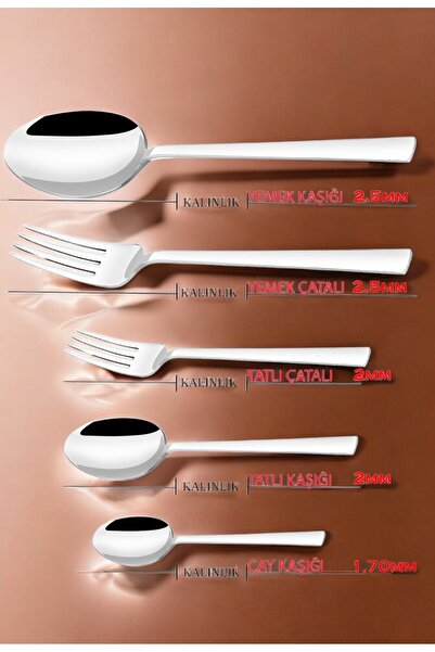 Gökdil Asya Silver 18 Piece Simple Fork & Spoon & Knife Dinner Set for 6 People