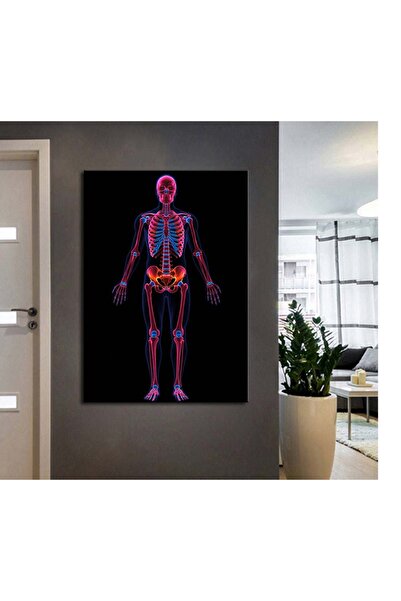 caddeko ftv59 Fizik Tedavi Rehabilitasyon İskelet Sistemi Neon Tablo Modern K...