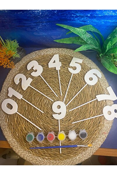 evim atölye Sayılar Taş Boyama Seti  Çocuk Gelişimi Eğitici Set +Boya +Fırça