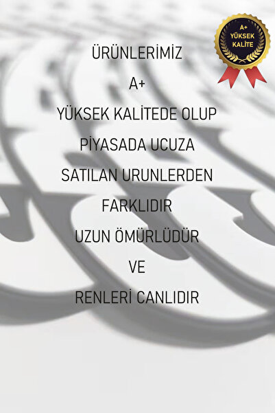 BoostZone Lastik Yazısı Motosiklet Lastik yazisi Good year 8 Adet Set Ve Yapıştırıcılı