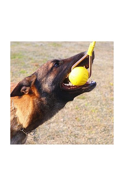 Hünkar Bite-Resistant Eva Ball Water-Impermeable Special Bite-Resistant 7 cm Baby Ball