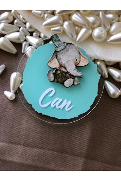 Baby Moments Yenidoğan ve Doğum Günü Çocuklarına Özel Buzdolabı Magnetleri 10 Adet Sevimli Fil Desenli