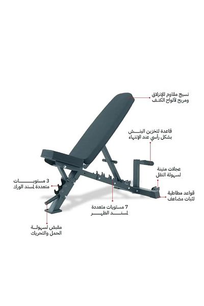 Champ Kit Adjustable Workout Bench with Vertical Storage - Ideal for Home Gyms