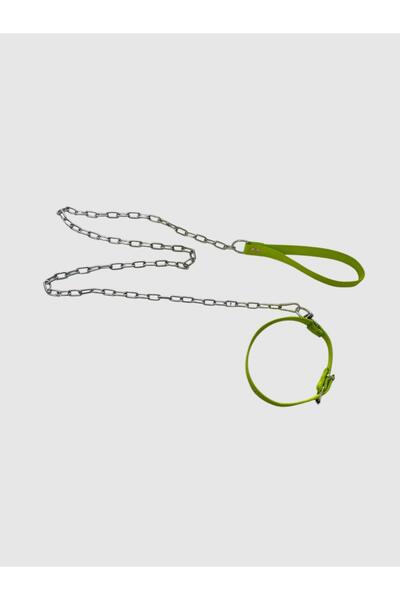 shop سلسلة متوسطة الحجم لطوق الكلب