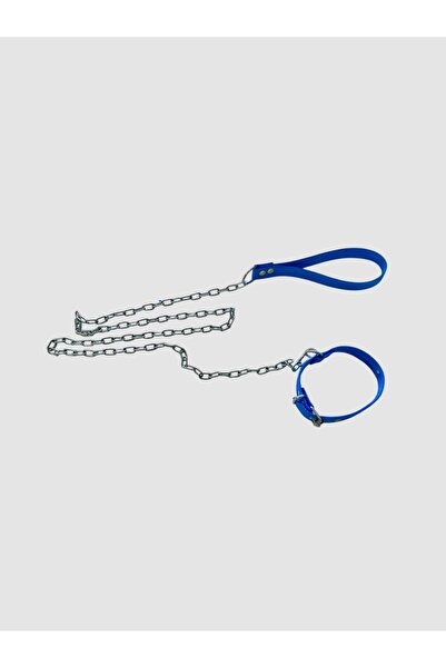 shop سلسلة متوسطة الحجم لطوق الكلب