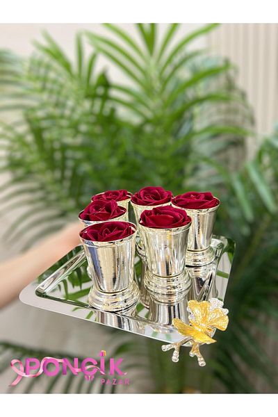 PONCİKPAZAR 1 Silver Rose Bucket