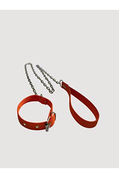 shop Küçük Yavru Köpekler İçin Zincirli Boyundan Bağlamalı Gezdirme Köpek Tasması