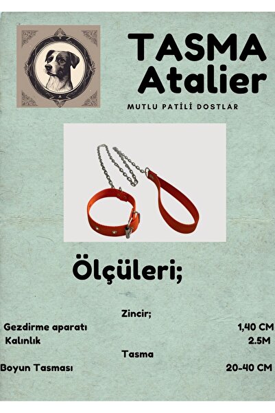 shop Küçük Yavru Köpekler İçin Zincirli Boyundan Bağlamalı Gezdirme Köpek Tasması