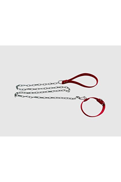 shop Küçük Yavru Köpekler İçin Zincirli Boyundan Bağlamalı Gezdirme Köpek Tasması