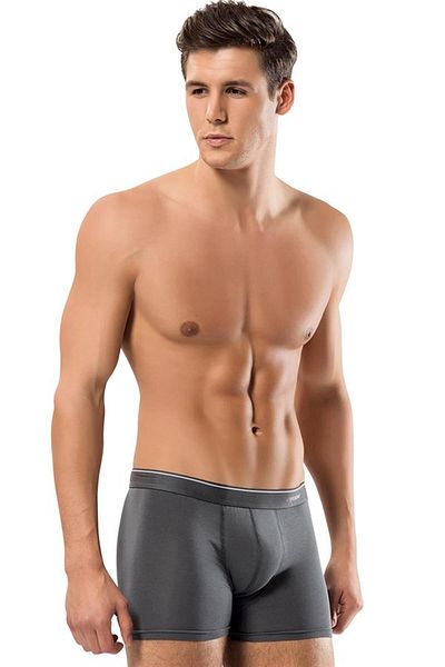 ERDEM İÇ GİYİM Erdem Smoked-grey-navy blue 3-pack Basic Boxer 1491