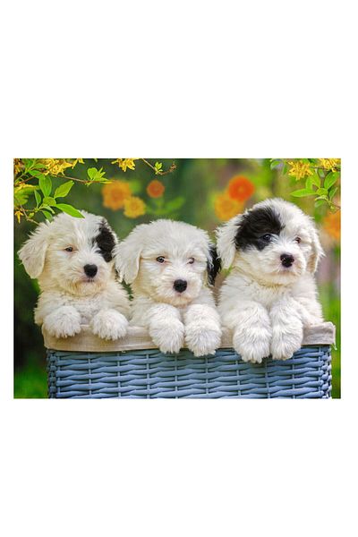 RAVENSBURGER 200 Piece Puzzle Puppies 127658