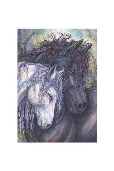 Anatolian Puzzle 500 Pieces Soul Twin 3587